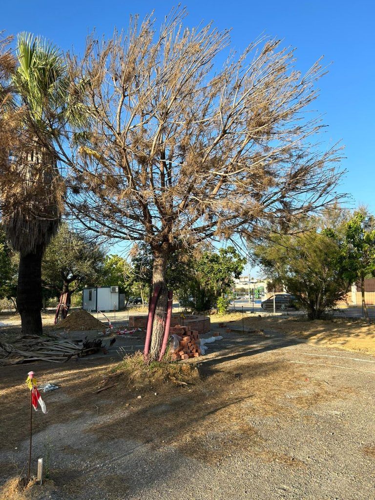 Lo que en su d&iacute;a fue anunciado como un proyecto prometedor dentro de la Estrategia de Desarrollo Urbano Sostenible e Integrado (EDUSI), financiado por la Uni&oacute;n Europea, se encuentra ahora en un estado de paralizaci&oacute;n preocupante. El exalcalde de la ciudad, V&iacute;ctor Mora, hab&iacute;a anticipado que el parque estar&iacute;a disponible para su uso en el primer trimestre de 2023, pero la realidad es diferente. Actualmente, la obra presenta signos de abandono, con escombros y basura en los alrededores, y hay pocas esperanzas de que se complete en el presente a&ntilde;o.