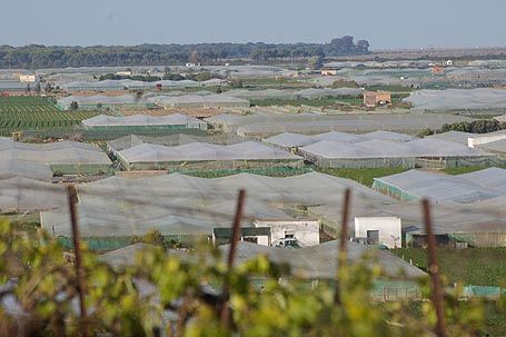 Agricultores en los campos de Sanlúcar de Barrameda, incluidos en el área de influencia del Parque Nacional de Doñana.